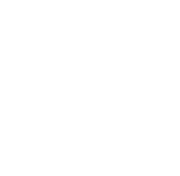 ISO Logo
